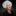 20270408 Helga Schneider IchWeiss 300x300px 300ppi...