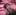 20261022 LEBEN JaneMumford SabinaBosch01 HR